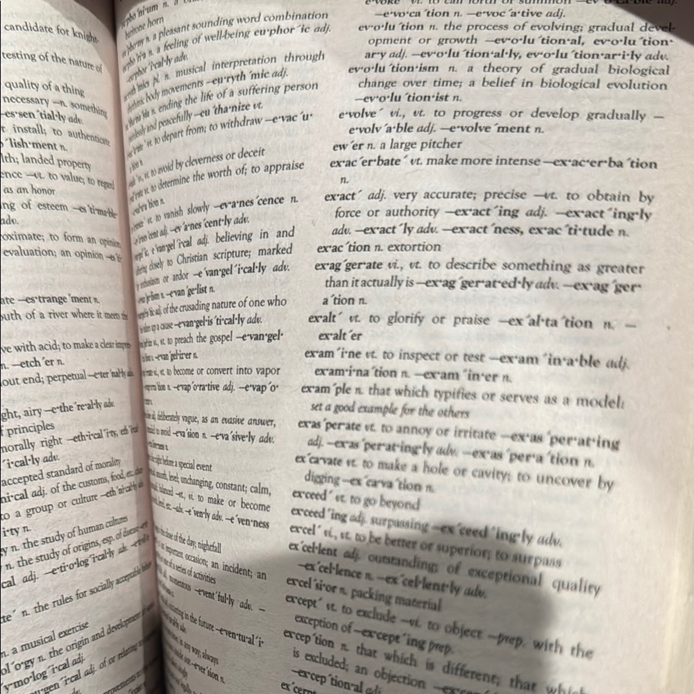 🌸Standard Dictionary - Picture 3 of 5